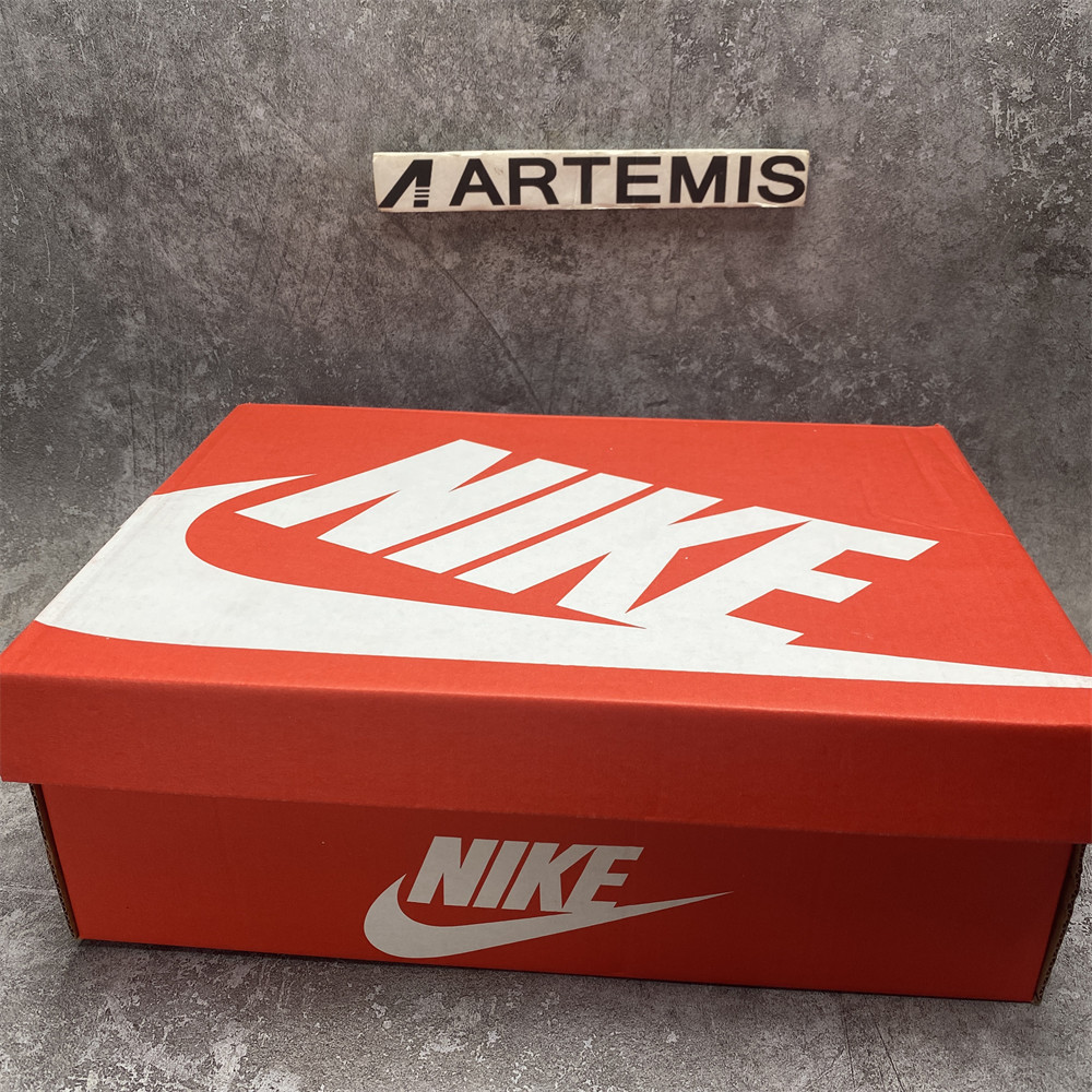 UA Nike Air Max 1