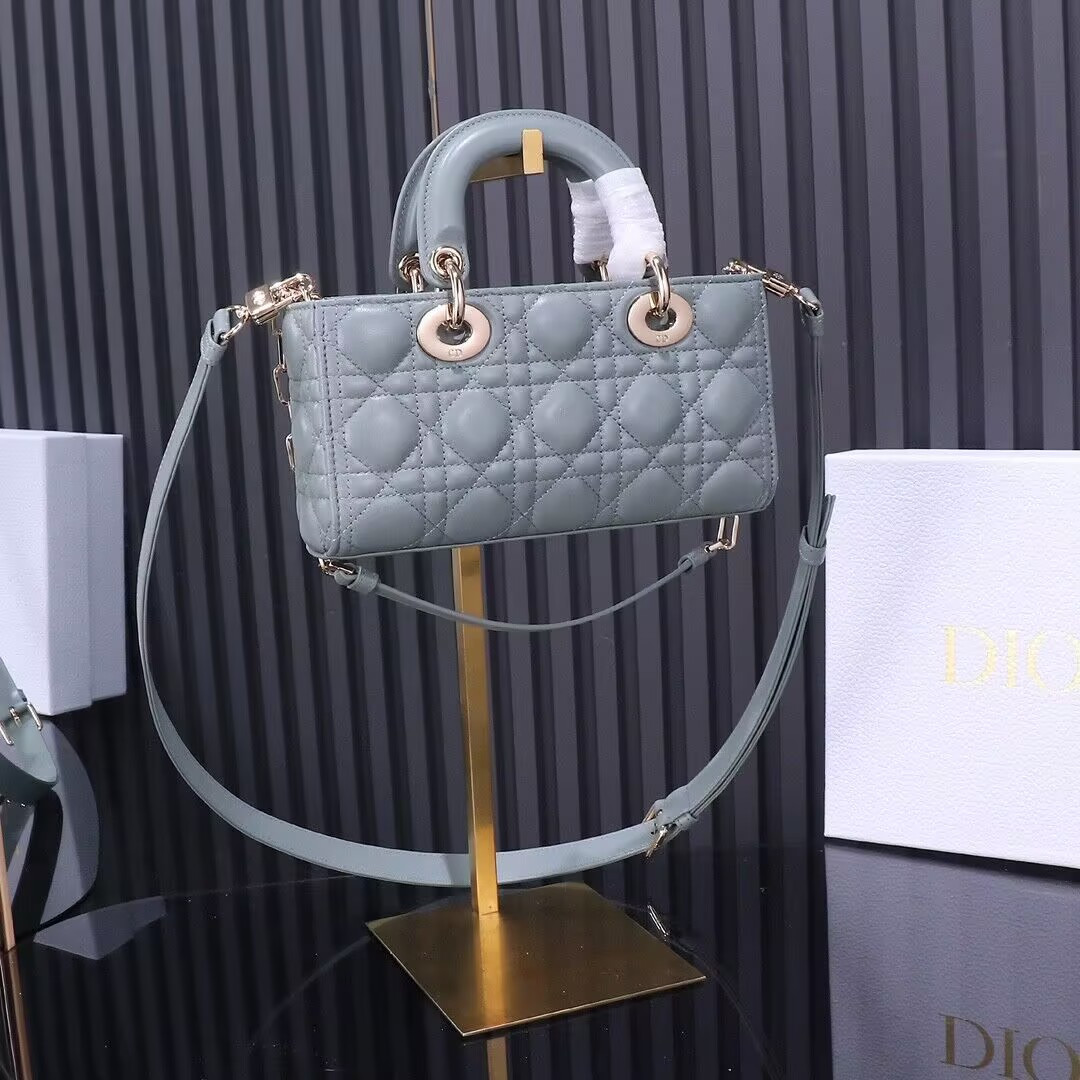 D*or samll d-joy bag 22.5 x 6 x 11.5cm