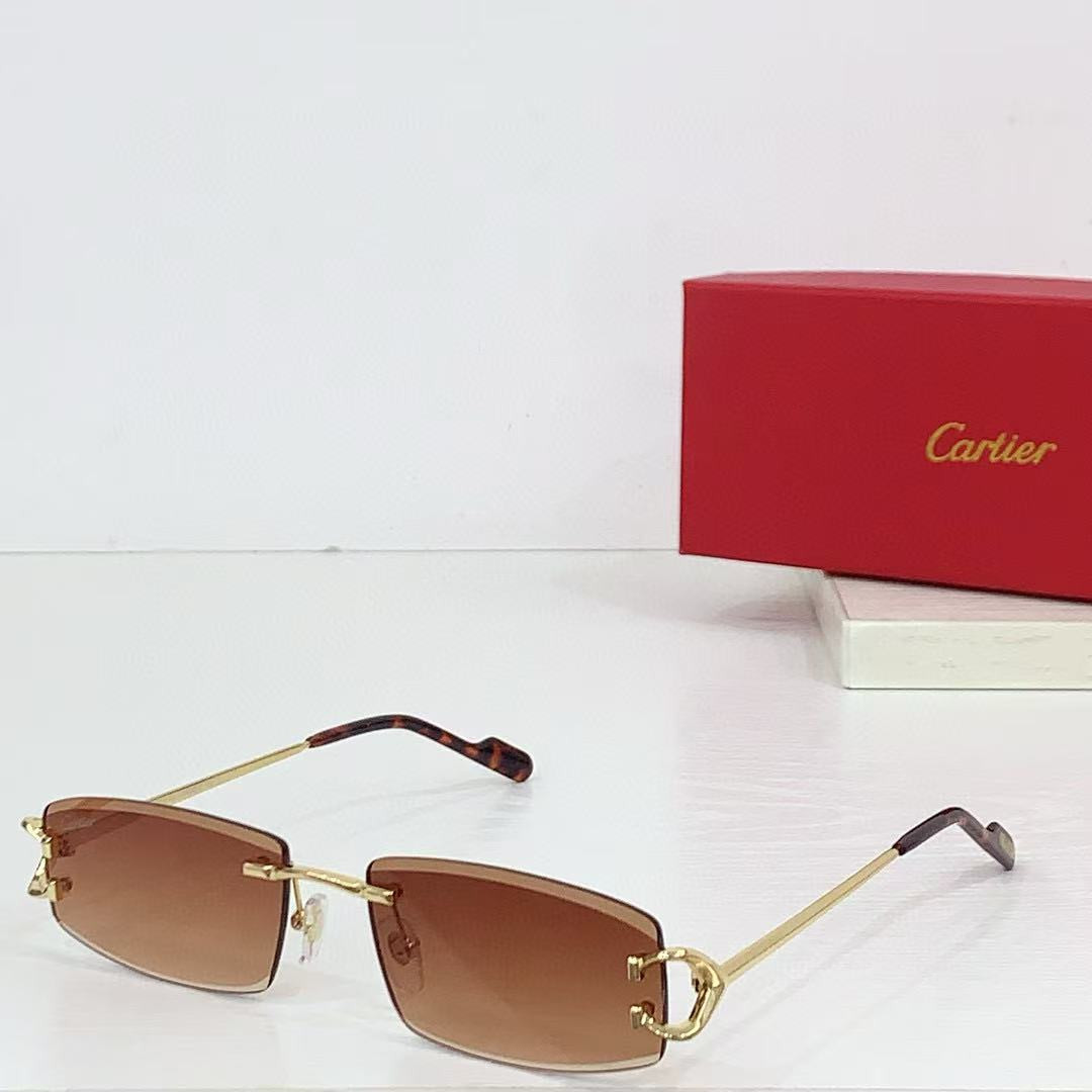 Ca*t*er glasses