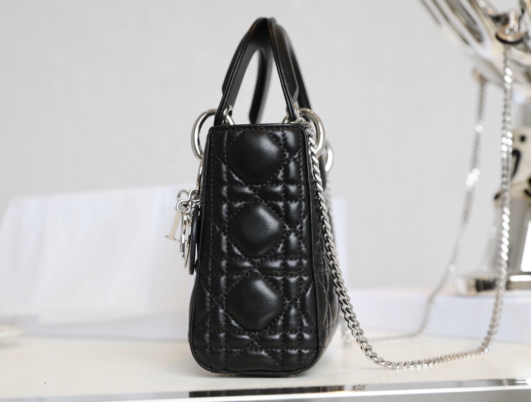 mini lady D*or bag