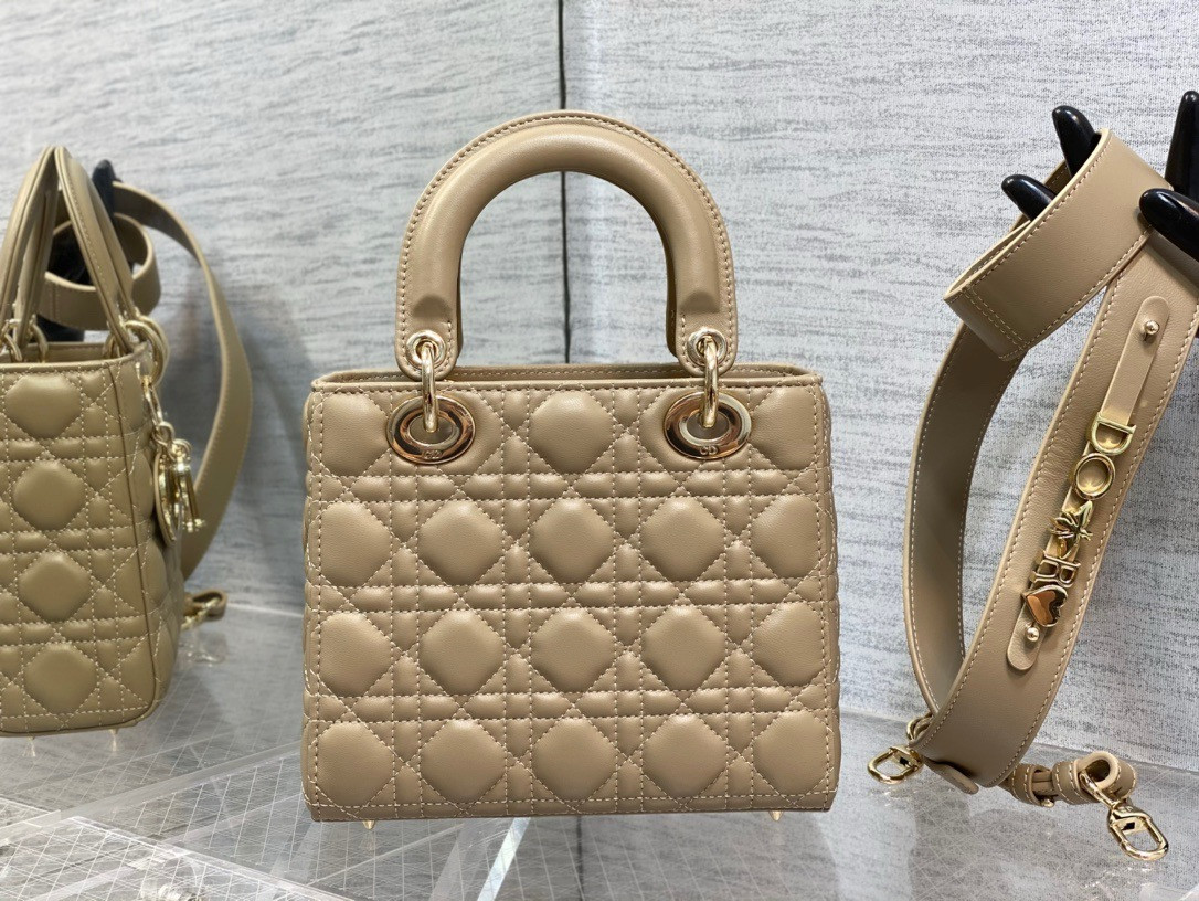 lady D*or bag 20x8x18cm
