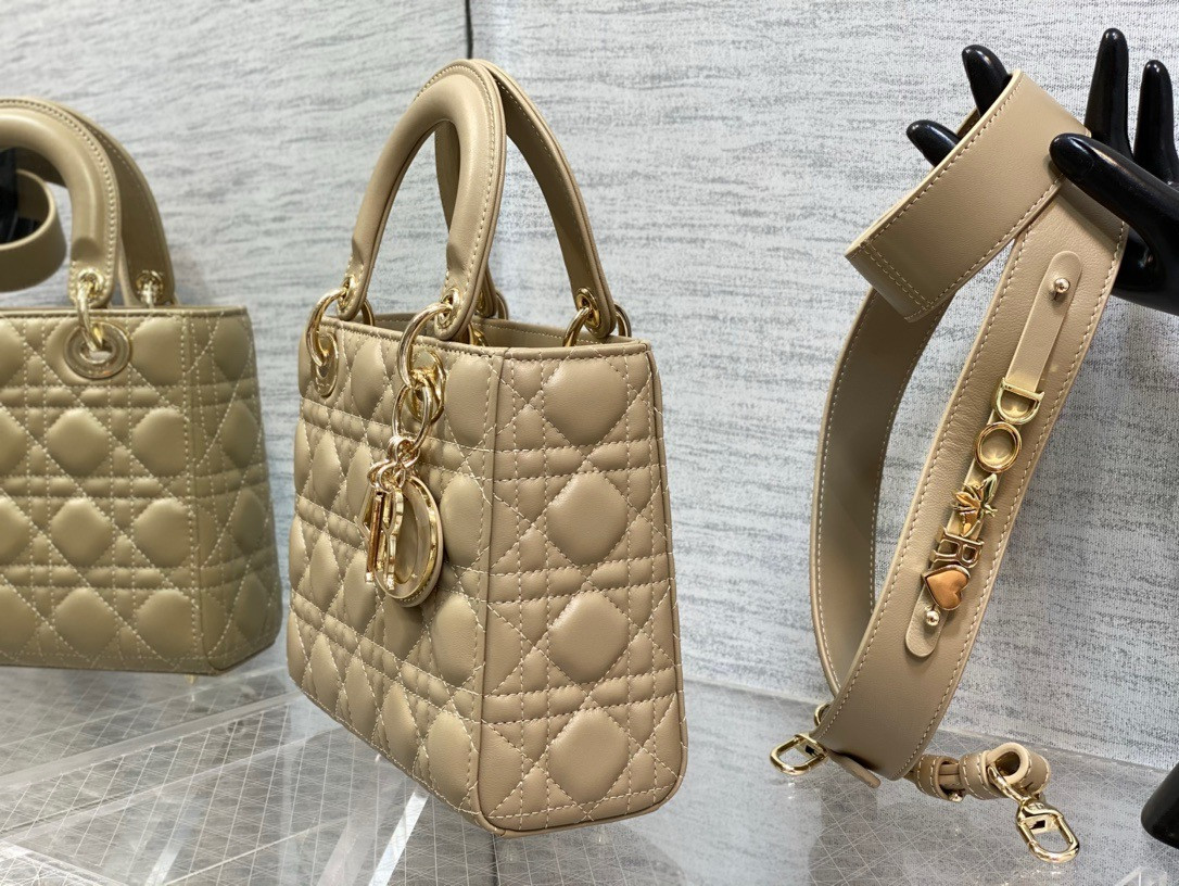 lady D*or bag 20x8x18cm