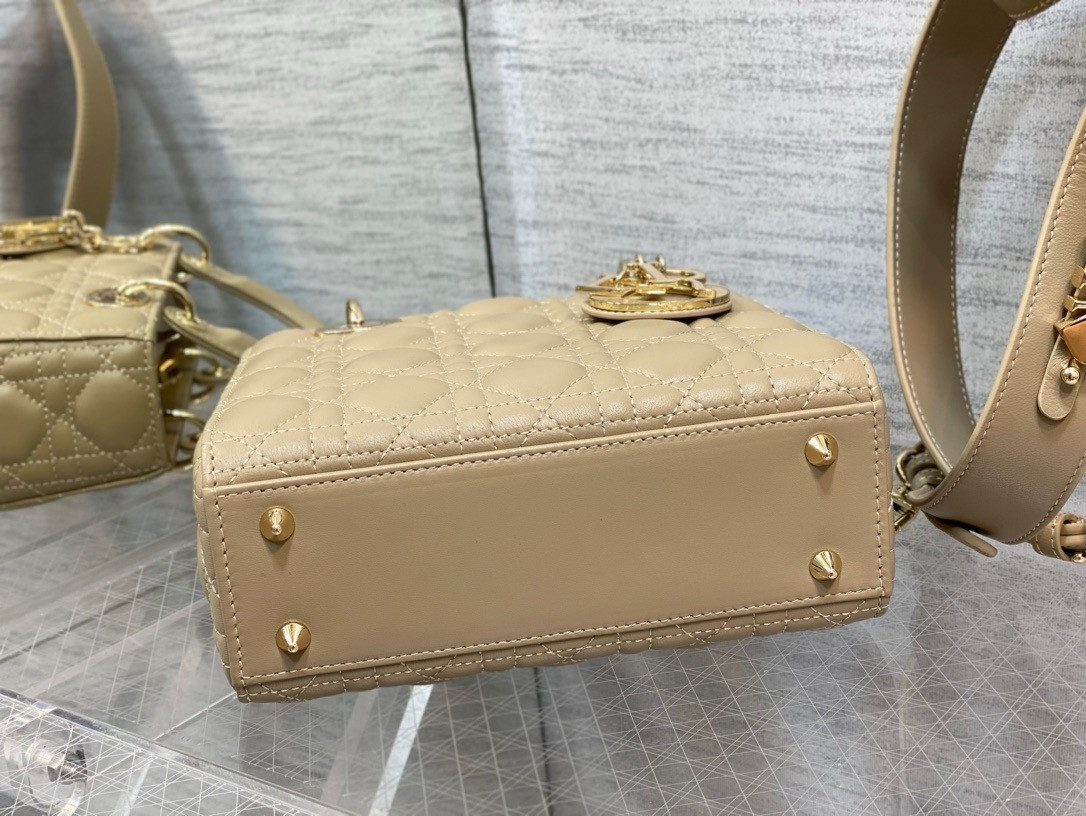 lady D*or bag 20x8x18cm