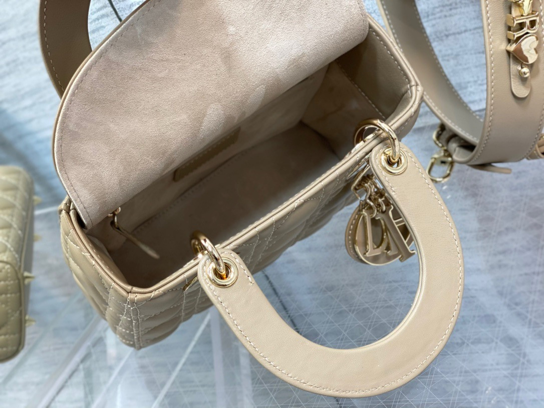 lady D*or bag 20x8x18cm